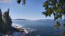 ./images/koeye/fitz-hugh/20250916/fitz-hugh20250916_133511M.jpg