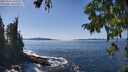 ./images/koeye/fitz-hugh/20250916/fitz-hugh20250916_135509M.jpg
