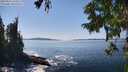 ./images/koeye/fitz-hugh/20250916/fitz-hugh20250916_143012M.jpg