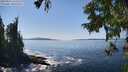 ./images/koeye/fitz-hugh/20250916/fitz-hugh20250916_143510M.jpg