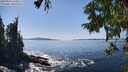 ./images/koeye/fitz-hugh/20250916/fitz-hugh20250916_144010M.jpg