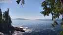 ./images/koeye/fitz-hugh/20250916/fitz-hugh20250916_144511M.jpg
