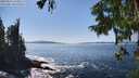 ./images/koeye/fitz-hugh/20250916/fitz-hugh20250916_145011M.jpg