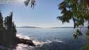 ./images/koeye/fitz-hugh/20250916/fitz-hugh20250916_152009M.jpg