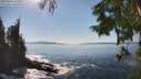 ./images/koeye/fitz-hugh/20250916/fitz-hugh20250916_152510M.jpg