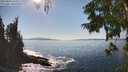 ./images/koeye/fitz-hugh/20250916/fitz-hugh20250916_154512M.jpg