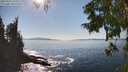 ./images/koeye/fitz-hugh/20250916/fitz-hugh20250916_155012M.jpg