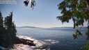 ./images/koeye/fitz-hugh/20250916/fitz-hugh20250916_160012M.jpg