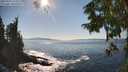 ./images/koeye/fitz-hugh/20250916/fitz-hugh20250916_161012M.jpg
