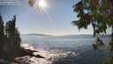 ./images/koeye/fitz-hugh/20250916/fitz-hugh20250916_162011M.jpg