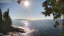 ./images/koeye/fitz-hugh/20250916/fitz-hugh20250916_164011M.jpg