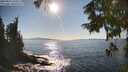 ./images/koeye/fitz-hugh/20250916/fitz-hugh20250916_164511M.jpg
