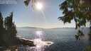 ./images/koeye/fitz-hugh/20250916/fitz-hugh20250916_165009M.jpg