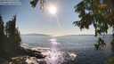 ./images/koeye/fitz-hugh/20250916/fitz-hugh20250916_170510M.jpg