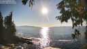 ./images/koeye/fitz-hugh/20250916/fitz-hugh20250916_173011M.jpg