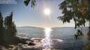 ./images/koeye/fitz-hugh/20250916/fitz-hugh20250916_173510M.jpg