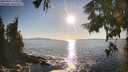 ./images/koeye/fitz-hugh/20250916/fitz-hugh20250916_175010M.jpg