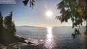 ./images/koeye/fitz-hugh/20250916/fitz-hugh20250916_175510M.jpg