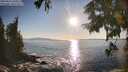 ./images/koeye/fitz-hugh/20250916/fitz-hugh20250916_180011M.jpg