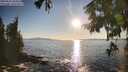 ./images/koeye/fitz-hugh/20250916/fitz-hugh20250916_181009M.jpg