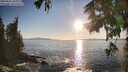./images/koeye/fitz-hugh/20250916/fitz-hugh20250916_182011M.jpg
