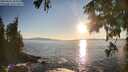 ./images/koeye/fitz-hugh/20250916/fitz-hugh20250916_183509M.jpg