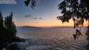 ./images/koeye/fitz-hugh/20250916/fitz-hugh20250916_200509M.jpg
