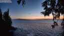 ./images/koeye/fitz-hugh/20250916/fitz-hugh20250916_201508M.jpg