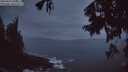 ./images/koeye/fitz-hugh/20250917/fitz-hugh20250917_064011M.jpg