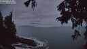 ./images/koeye/fitz-hugh/20250917/fitz-hugh20250917_064510M.jpg