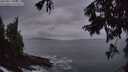 ./images/koeye/fitz-hugh/20250917/fitz-hugh20250917_065011M.jpg