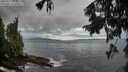 ./images/koeye/fitz-hugh/20250917/fitz-hugh20250917_072510M.jpg