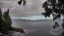 ./images/koeye/fitz-hugh/20250917/fitz-hugh20250917_083511M.jpg
