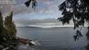 ./images/koeye/fitz-hugh/20250917/fitz-hugh20250917_085011M.jpg