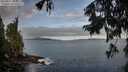 ./images/koeye/fitz-hugh/20250917/fitz-hugh20250917_085510M.jpg