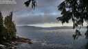 ./images/koeye/fitz-hugh/20250917/fitz-hugh20250917_091010M.jpg