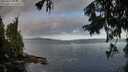 ./images/koeye/fitz-hugh/20250917/fitz-hugh20250917_091512M.jpg