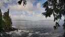 ./images/koeye/fitz-hugh/20250917/fitz-hugh20250917_104011M.jpg