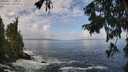 ./images/koeye/fitz-hugh/20250917/fitz-hugh20250917_105510M.jpg