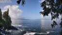 ./images/koeye/fitz-hugh/20250917/fitz-hugh20250917_113011M.jpg