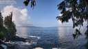 ./images/koeye/fitz-hugh/20250917/fitz-hugh20250917_113509M.jpg