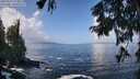 ./images/koeye/fitz-hugh/20250917/fitz-hugh20250917_114011M.jpg