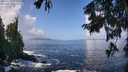 ./images/koeye/fitz-hugh/20250917/fitz-hugh20250917_114511M.jpg