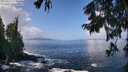 ./images/koeye/fitz-hugh/20250917/fitz-hugh20250917_115009M.jpg