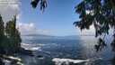 ./images/koeye/fitz-hugh/20250917/fitz-hugh20250917_115510M.jpg