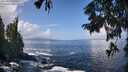 ./images/koeye/fitz-hugh/20250917/fitz-hugh20250917_120012M.jpg