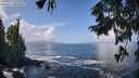 ./images/koeye/fitz-hugh/20250917/fitz-hugh20250917_120509M.jpg