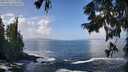 ./images/koeye/fitz-hugh/20250917/fitz-hugh20250917_121011M.jpg