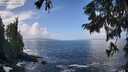 ./images/koeye/fitz-hugh/20250917/fitz-hugh20250917_122009M.jpg