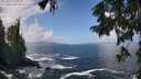 ./images/koeye/fitz-hugh/20250917/fitz-hugh20250917_122509M.jpg